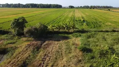 Foto van Rambaran Mishreweg