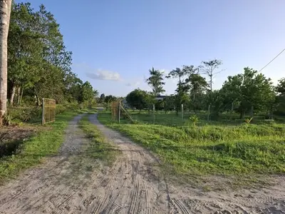 Foto van Libanonweg