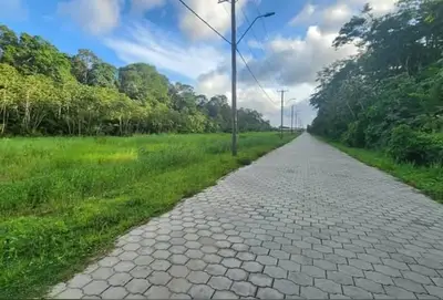 Foto van kwatta