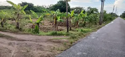 Foto van Gauriweg