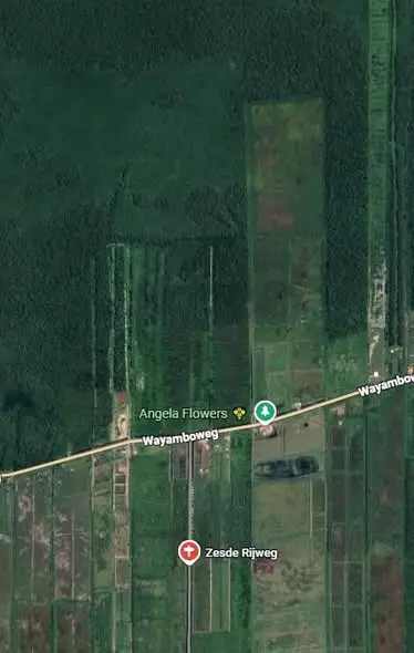 Foto van Saramacca Hoofdweg
